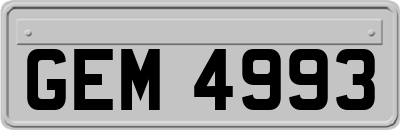 GEM4993