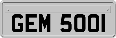 GEM5001