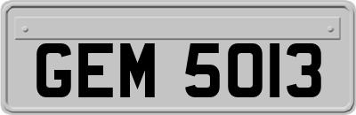 GEM5013