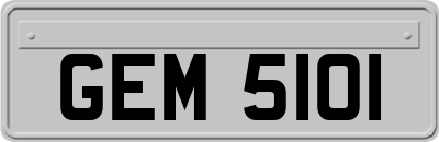 GEM5101