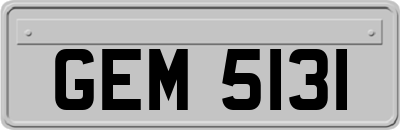 GEM5131