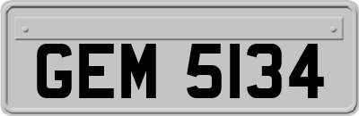 GEM5134