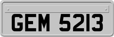 GEM5213