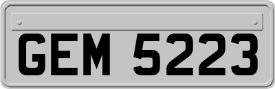 GEM5223