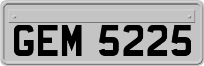 GEM5225