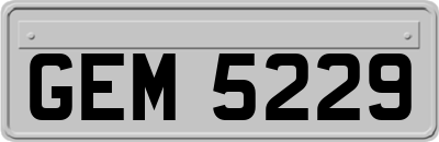 GEM5229