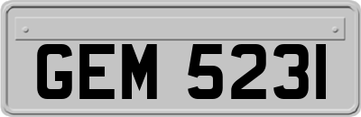 GEM5231