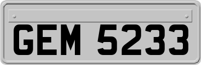 GEM5233