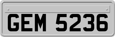 GEM5236