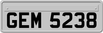 GEM5238