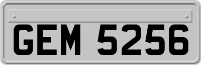 GEM5256