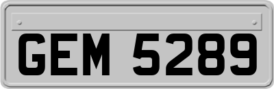 GEM5289