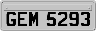 GEM5293