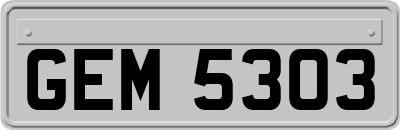 GEM5303