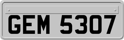GEM5307