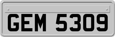 GEM5309