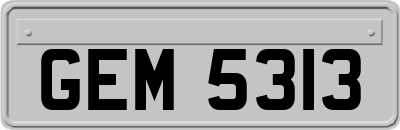 GEM5313