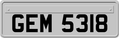 GEM5318