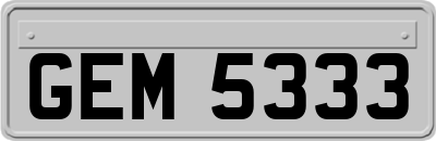 GEM5333