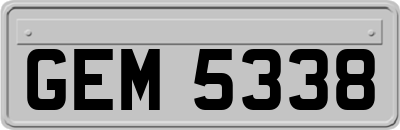 GEM5338