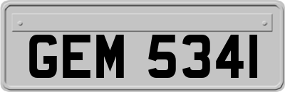 GEM5341