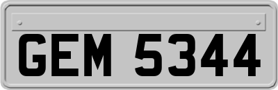 GEM5344