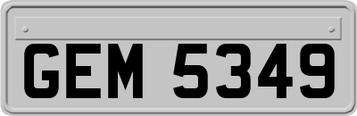 GEM5349