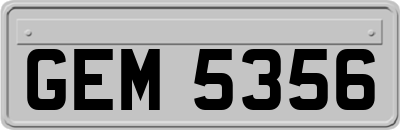 GEM5356