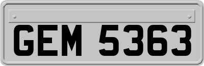 GEM5363