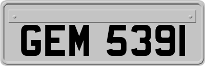 GEM5391
