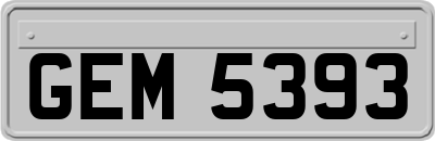 GEM5393