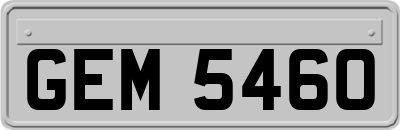 GEM5460