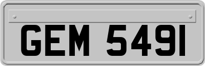 GEM5491