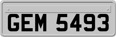 GEM5493