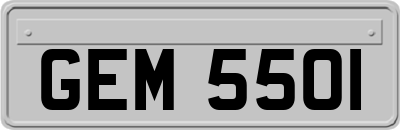 GEM5501
