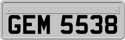 GEM5538