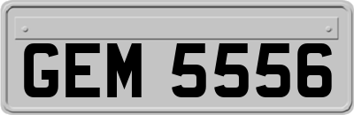 GEM5556