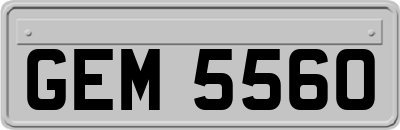 GEM5560