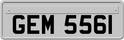 GEM5561