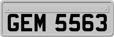 GEM5563