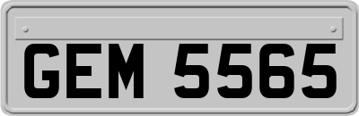 GEM5565