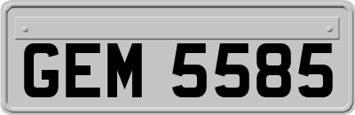 GEM5585