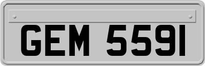GEM5591