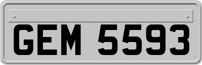 GEM5593