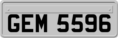 GEM5596