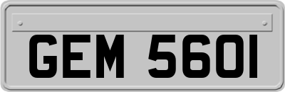 GEM5601