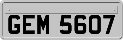 GEM5607