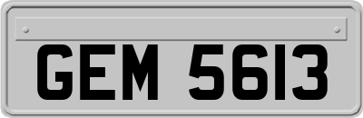 GEM5613