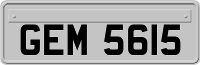 GEM5615