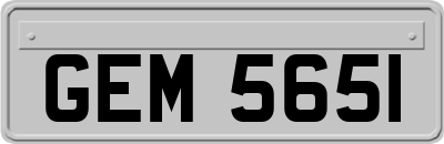 GEM5651